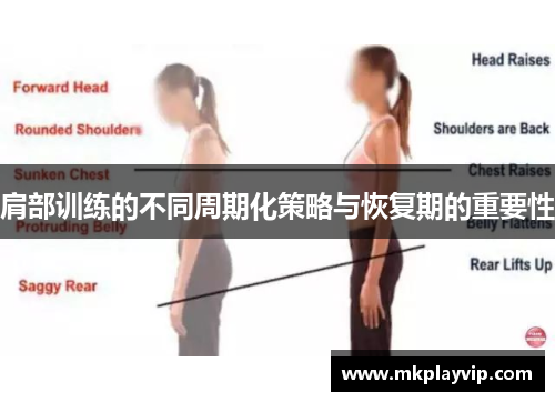肩部训练的不同周期化策略与恢复期的重要性